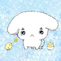 몽쫑25호 (@408in525) 's Twitter Profile Photo