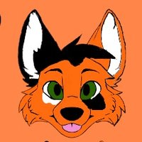 catnipdafox🦊 (@catnipdafox) 's Twitter Profile