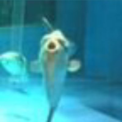 kanami1270's profile picture. 🐌