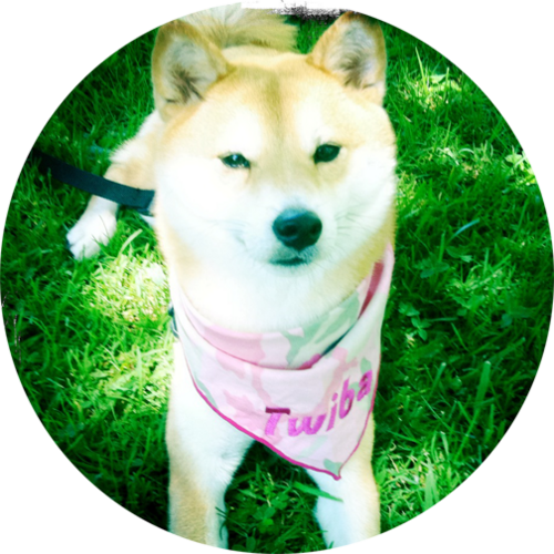 tokyoshiba's profile picture. The life and travels of a shiba inu #twiba girl living with @caponecat in California. Born June 2, 2009. http://t.co/tiVZl57Z3f