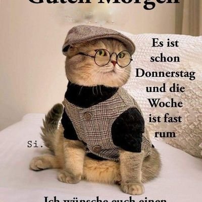 Uniquehair55853's profile picture. Diana