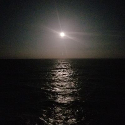 sae13245's profile picture. さえです。主に短歌。その他、文学や映画、美術などのことを呟きます。無言でいいね&フォロー失礼します。リアルで関わりのある方は現実世界の本人と切り離して読んでやってください。