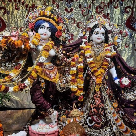 Sunve87's profile picture. 