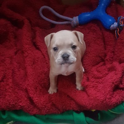 ChristyKay123's profile picture. Concerned citizen