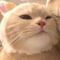 H4RU (@06__shy) 's Twitter Profile