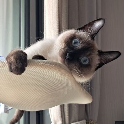 Jb23177's profile picture. Normal