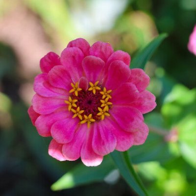 GraceannCurtis's profile picture. ✝️