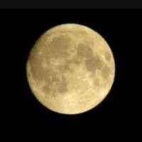 SIGNAL0015 (@signal0015) 's Twitter Profile