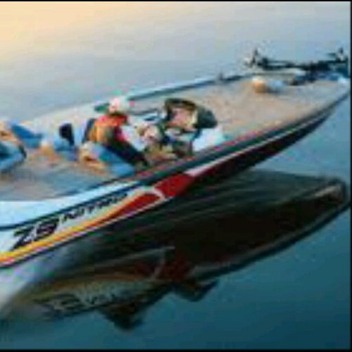 Mdkatzer's profile picture. 