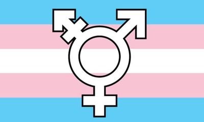 The Trans Paradise 🔥 || DM for promos || Follow and tag the profile for a retweet 🔥