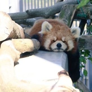 かこさんのプロフィール画像