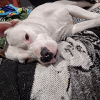 adam griggs (@adam_griggs) 's Twitter Profile