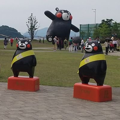 upkt6v's profile picture. fukuoka