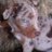jon10j's profile image