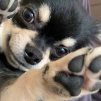 aiihara (@ai_ihara0618) 's Twitter Profile