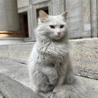Gabello Marshal (@marshalgabello) 's Twitter Profile