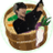 takechinuma