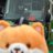 momo_8_notfound