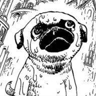 ๐ฟ๐
๐ถ โ (@pug_botop) 's Twitter Profile