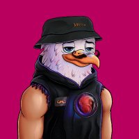 Libertas (@0x_libertas) 's Twitter Profile