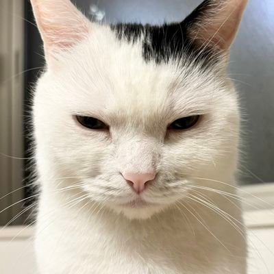 あさんのプロフィール画像