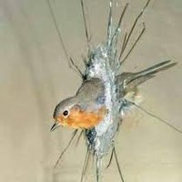 ياء ميم نون (@malhq11828) Twitter profile photo