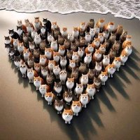 Abdelrahem ahmed (@abdelrahem2024) Twitter profile photo