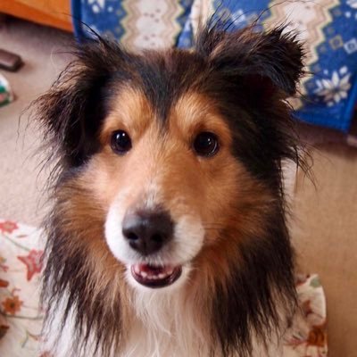 あるりあん (@arulien9900) / Posts / X