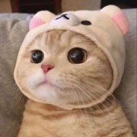 Imanoy v.2 (@manoylitte) 's Twitter Profile