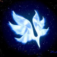 ワカメ (@wa_ka_me_) 's Twitter Profile Photo