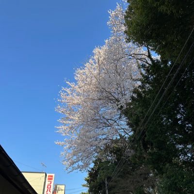 dxi223's profile picture. 