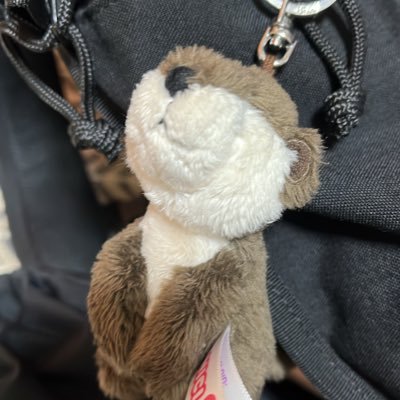 tororokake_udon's profile picture. cms 速研幹事長