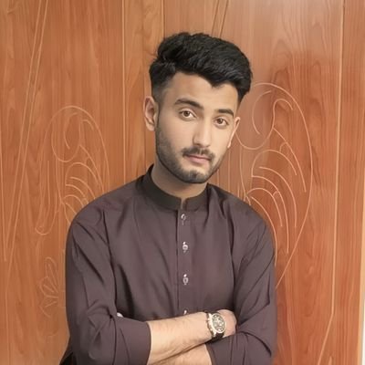 alysaif295's profile picture. I'm an undergraduate Software Engineer 
at @pak_austria
beginner 🔰 currently learning : object oriented programming