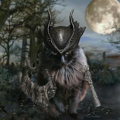 o_seladir's profile picture. Пишу код руками, виховую пухнасту кітку, граю на всьому що має екран, слухаю якийсь постблеконеофолкрок, фотографую граків та дерева.