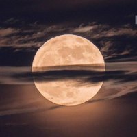 شخبطة نفسية (@somanomamado) Twitter profile photo