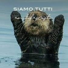 PGuibCau's profile picture. 