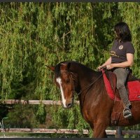 Cyberdéesse🌼 (@cyberds001) 's Twitter Profile Photo