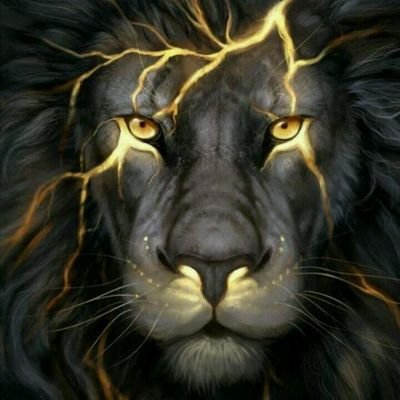 Tough_eee's profile picture.