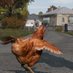 DayZ Out of Context (@outcontextdayz) Twitter profile photo DayZ Out of Context (@outcontextdayz) Twitter profile photo