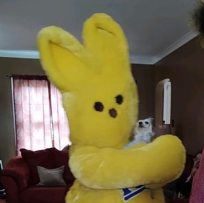 LIVEG1_1GEVIL's profile picture. OT7 ARMY, AP529 member, SH aBTSradio & duoddaeng listener. 💜🫶🫰