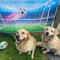 Marie-Anne Catterall (Maz) (@mazcatterall) 's Twitter Profile