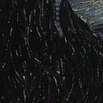 MailPedro78114's profile picture. 