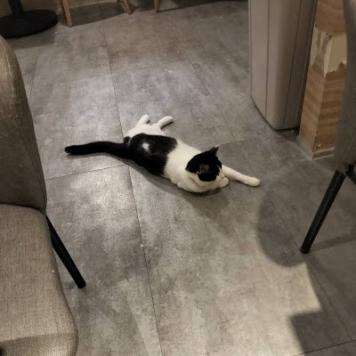 JunLin84991's profile picture. 詳細を知りたい方はこちら👇