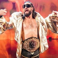 The Visionary, The Revolutionary | Not @WWERollins (@burnit_down_) 's Twitter Profile