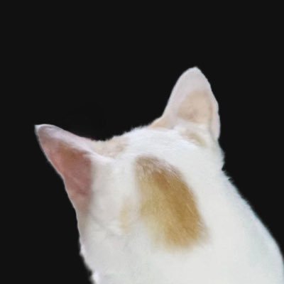 🐶 강다니엘 I got your back ✌️| 😼 DANITY - FLOWD 🛹 | 🎒 Travel | 😋 Food