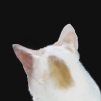 yngyoong 💿 ᴷᴰ ❤️🩹 MESS ❤️🩹 KANGDANIEL 🐶 (@yngyoong) 's Twitter Profile Photo yngyoong 💿 ᴷᴰ ❤️🩹 MESS ❤️🩹 KANGDANIEL 🐶 (@yngyoong) 's Twitter Profile Photo