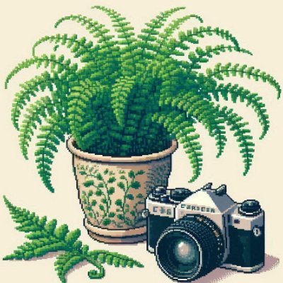 Leaves_Lenses's profile picture. 