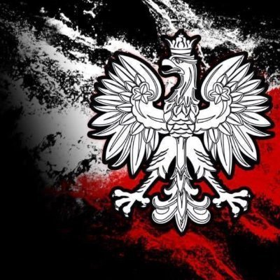 wilczynski54's profile picture. Tylko prawa strona