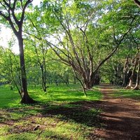 Ujjwal Basumatary (@ujjwalb1729) 's Twitter Profile