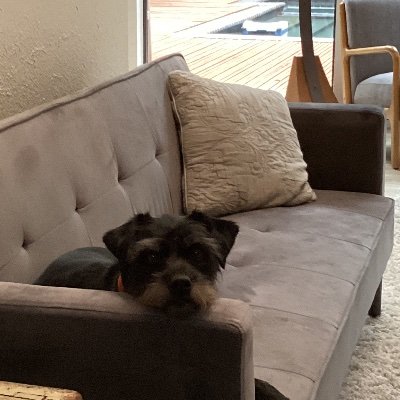 dddalach's profile picture. Ard Ollamh: Cú Connacht Ua Dálaigh